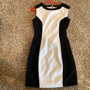 The Limited dress
